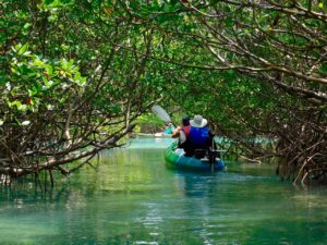 10 mejores lugares para practicar kayak en Miami