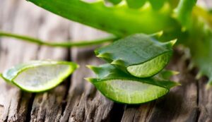 Aloe_Vera_For_Diabetes_The_Scientific_Proof_You_Were_Looking_For
