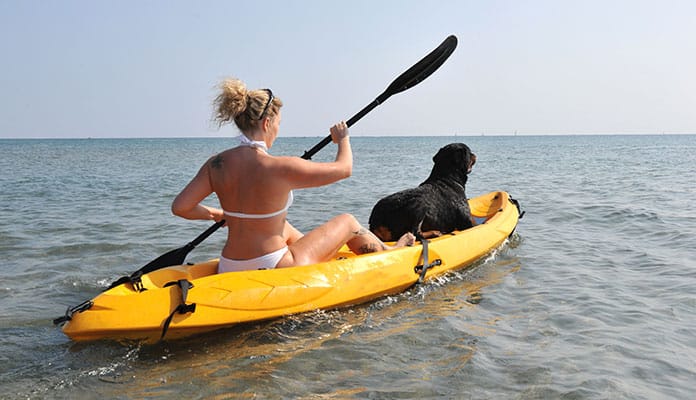 Cómo-elegir-un-kayak-para-perros