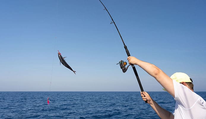 Sistema turbo para cebos muertos pescado spinnfischen spin system cebo pescado pescar pescar 