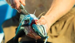 3_Easy_Ways_To_Get_Fish_Smell_Off_Your_Hands