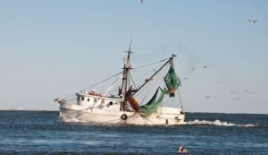 Guía de pesca de Carolina del Norte para el éxito