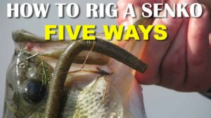 Senko Fishing Guide: Cómo pescar con Senko Lure