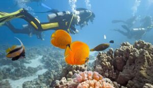 10_Best_Diving_Spots_In_Dominican_Republic