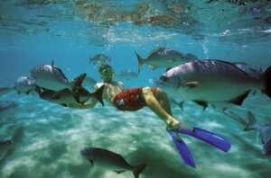 10 mejores lugares para bucear en Galápagos