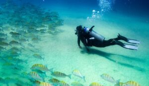 10_Best_Dive_Sites_In_Cozumel