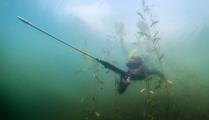 How_do_I_get_better_at_spearfishing_