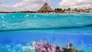 Best-Snorkeling-Spots-In-Cancun