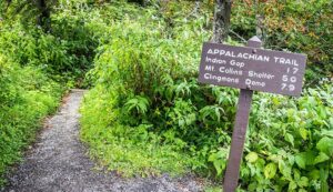 Hiking_The_Appalachian_Trail_10_Appalacian_Trail_Hiking_Tips