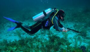 5_Most_Common_Spearfishing_Dangers_And_Risks