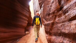 Desert_Hiking_Beginner_s_Guide_For_Hiking_In_The_Desert