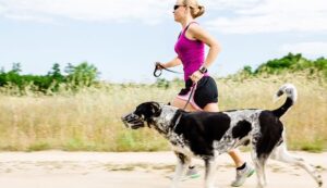 Trail_Running_With_A_Dog_Here_Is_How_To_Go_Running_With_Your_Dog