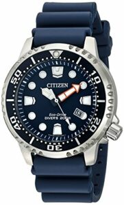 Breve análisis del reloj Citizen Relojes BN0151-09L Promaster Dive