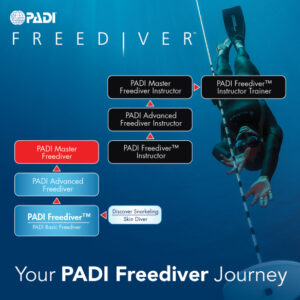 Cómo obtener la certificación Padi Freediver