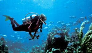 How_To_Get_Open_Water_Diving_Certification