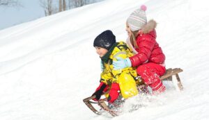 10_Best_Snow_Sleds_In_2019