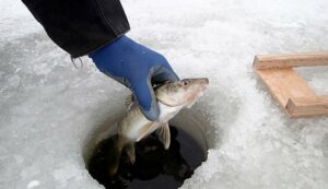 Best_Ice_Fishing_Gloves