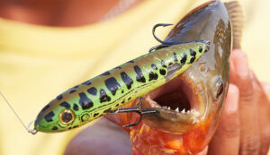 Topwater_Lures